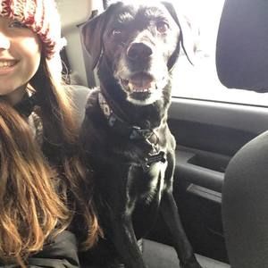 Meet your Posher, Cassandra